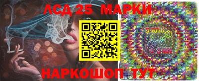 скорость Жуковский