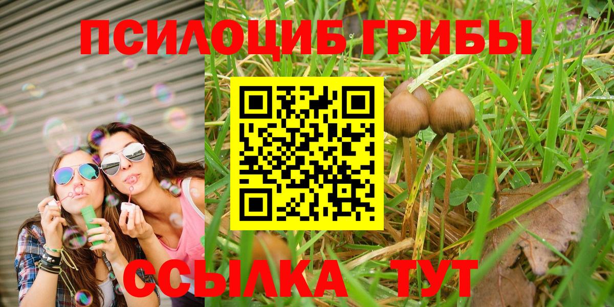 Псилоцибиновые грибы мицелий  Псилоцибиновые грибы MAGIC MUSHROOMS  Вход с VPN  Лысьва 
