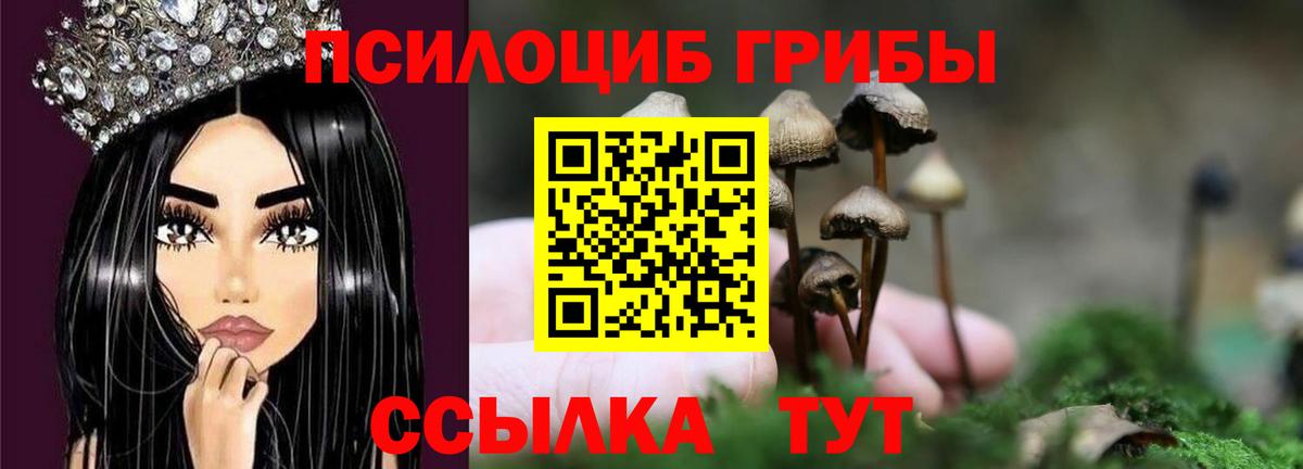 Псилоцибиновые грибы прущие грибы Лысьва